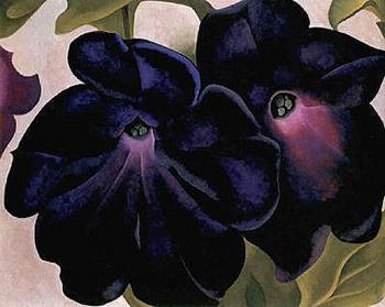 喬治亞 奧基夫 Black and Purple Petunias